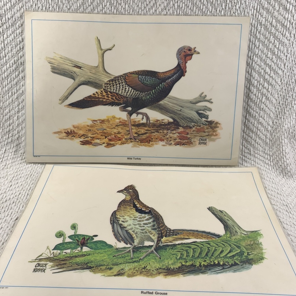 Vtg Set of 2 Chuck Ripper Reversibleβ 17" Laminated Placemats 1971 Turkey Grouse